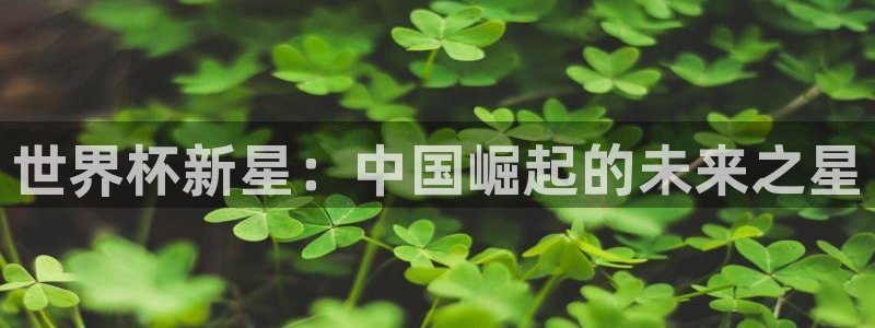 世界杯足球赛：世界杯新星：中国崛起的未来之星