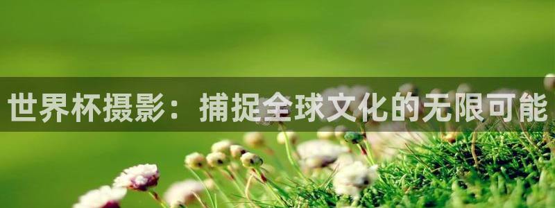 世界杯直播免费观看：世界杯摄影：捕捉全球文化的无限可能