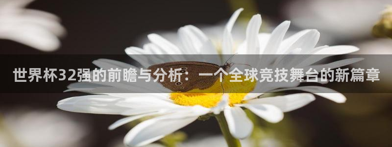 世俱杯直播：世界杯32强的前瞻与分析：一个全球竞技舞台的新篇章