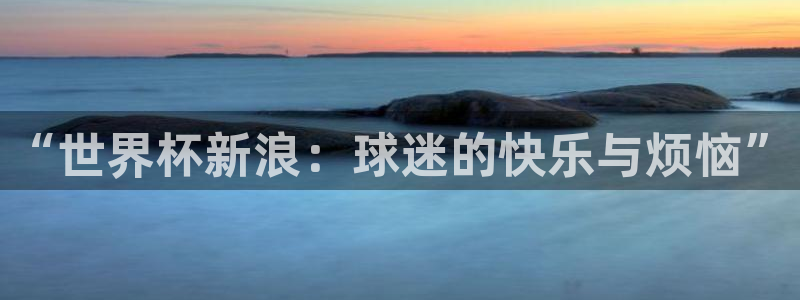 2026世界杯赛程：“世界杯新浪：球迷的快乐与烦恼”