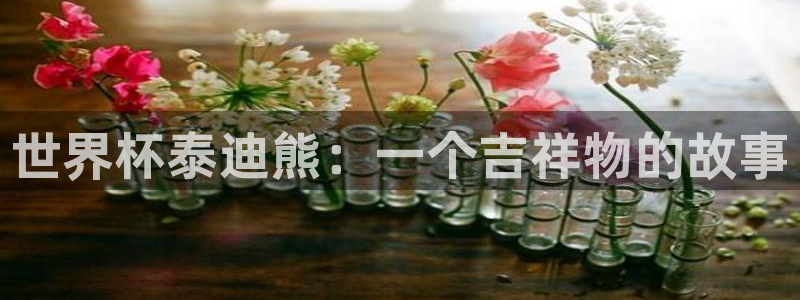 世界杯足球赛2026：世界杯泰迪熊：一个吉祥物的故事
