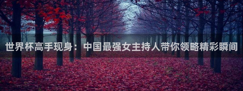 世界杯 中国：世界杯高手现身：中国最强女主持人带你领略精彩瞬间