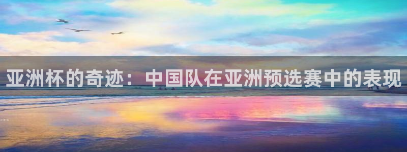 2006年世界杯：亚洲杯的奇迹：中国队在亚洲预选赛中的表现