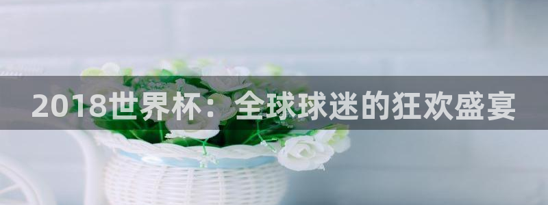 女足世界杯直播：2018世界杯：全球球迷的狂欢盛宴