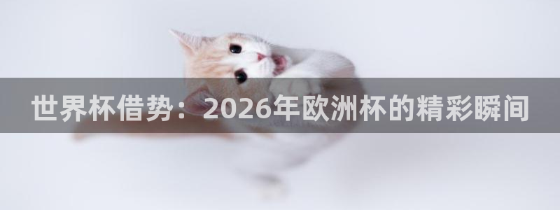 欧联杯直播：世界杯借势：2026年欧洲杯的精彩瞬间