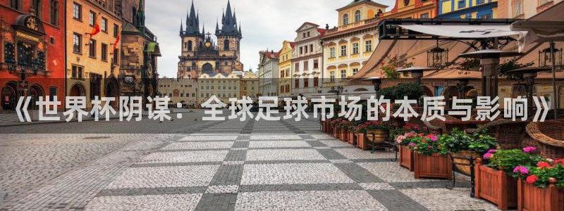 世界杯直播：《世界杯阴谋：全球足球市场的本质与影响》