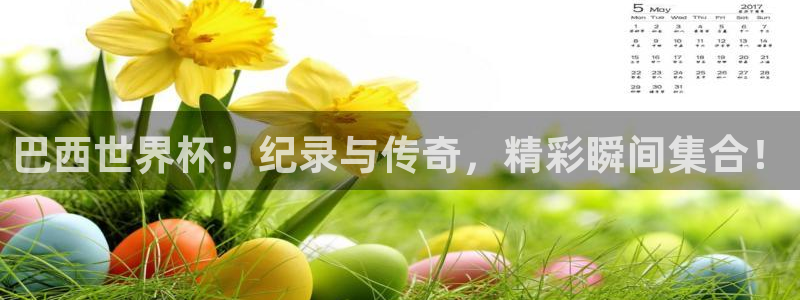 世界杯预选赛：巴西世界杯：纪录与传奇，精彩瞬间集合！